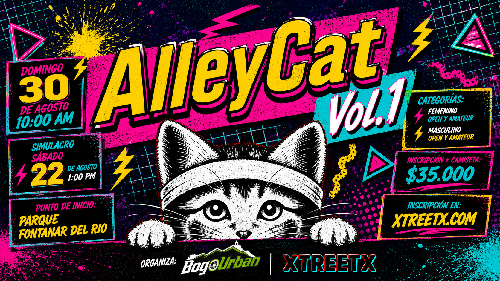 Alley Cat - Vol 1